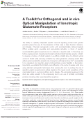 Cover page: A Toolkit for Orthogonal and in vivo Optical Manipulation of Ionotropic Glutamate Receptors