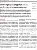 Cover page: Substrate specificity and protein stability drive the divergence of plant-specific DNA methyltransferases.