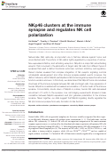 Cover page: NKp46 Clusters at the Immune Synapse and Regulates NK Cell Polarization