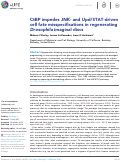 Cover page: CtBP impedes JNK- and Upd/STAT-driven cell fate misspecifications in regenerating Drosophila imaginal discs