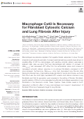 Cover page: Macrophage Cx43 Is Necessary for Fibroblast Cytosolic Calcium and Lung Fibrosis After Injury