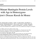 Cover page: Striatal Mutant Huntingtin Protein Levels Decline with Age in Homozygous Huntington’s Disease Knock-In Mouse Models