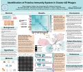 Cover page: Identification of Putative Immunity System in Cluster AZ Phages