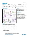 Cover page: Inhibition of RNA splicing triggers CHMP7 nuclear entry, impacting TDP-43 function and leading to the onset of ALS cellular phenotypes