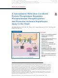 Cover page: A Sarcoplasmic Reticulum Localized Protein Phosphatase Regulates Phospholamban Phosphorylation and&nbsp;Promotes Ischemia Reperfusion Injury&nbsp;in&nbsp;the Heart