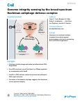 Cover page: Genome integrity sensing by the broad-spectrum Hachiman antiphage defense complex