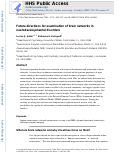 Cover page: Future Directions for Examination of Brain Networks in Neurodevelopmental Disorders