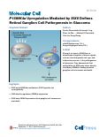 Cover page: P16INK4a Upregulation Mediated by SIX6 Defines Retinal Ganglion Cell Pathogenesis in Glaucoma