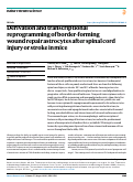 Cover page: Derivation and transcriptional reprogramming of border-forming wound repair astrocytes after spinal cord injury or stroke in mice.