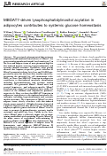 Cover page: MBOAT7-driven lysophosphatidylinositol acylation in adipocytes contributes to systemic glucose homeostasis