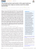 Cover page: The exceptional form and function of the giant bacterium Ca. Epulopiscium viviparus revolves around its sodium motive force