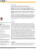 Cover page: Cardiovascular Protective Effect of Metformin and Telmisartan: Reduction of PARP1 Activity via the AMPK-PARP1 Cascade.