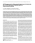 Cover page: ATP Requirement for Chloroplast Protein Import Is Set by the Km for ATP Hydrolysis of Stromal Hsp70 in Physcomitrella patens