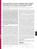 Cover page: Assessing fitness costs for transgenic Aedes aegypti expressing the GFP marker and transposase genes