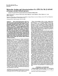 Cover page: Molecular cloning and characterization of a cDNA for the β subunit of human alcohol dehydrogenase