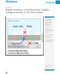 Cover page: Bubble Formation in the Electrolyte Triggers Voltage Instability in CO2 Electrolyzers