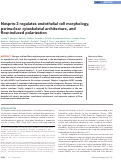 Cover page: Nesprin-3 regulates endothelial cell morphology, perinuclear cytoskeletal architecture, and flow-induced polarization