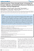 Cover page: CCN2/Connective Tissue Growth Factor Is Essential for Pericyte Adhesion and Endothelial Basement Membrane Formation during Angiogenesis