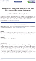 Cover page: New species of the genus Mahinda Krombein, 1983 (Hymenoptera, Chrysididae, Amiseginae)