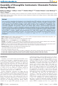 Cover page: Assembly of Drosophila Centromeric Chromatin Proteins during Mitosis