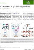 Cover page: A tale of two Hippo pathway modules