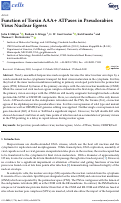 Cover page: Function of Torsin AAA+ ATPases in Pseudorabies Virus Nuclear Egress