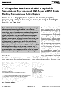 Cover page: ATM‐Dependent Recruitment of BRD7 is required for Transcriptional Repression and DNA Repair at DNA Breaks Flanking Transcriptional Active Regions