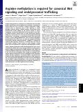 Cover page: Arginine methylation is required for canonical Wnt signaling and endolysosomal trafficking