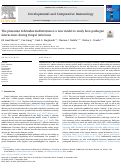 Cover page: The planarian Schmidtea mediterranea is a new model to study host-pathogen interactions during fungal infections