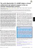 Cover page: The cyclic dinucleotide 2′3′-cGAMP induces a broad antibacterial and antiviral response in the sea anemone Nematostella vectensis