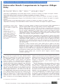 Cover page: Extraocular Muscle Compartments in Superior Oblique Palsy.