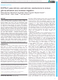 Cover page: EGFRvIII uses intrinsic and extrinsic mechanisms to reduce glioma adhesion and increase migration