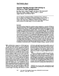 Cover page: Apoptotic signaling through CD95 (Fas/Apo-1) activates an acidic sphingomyelinase.