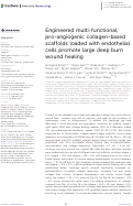 Cover page: Engineered multi-functional, pro-angiogenic collagen-based scaffolds loaded with endothelial cells promote large deep burn wound healing