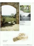 Cover page: Lady Bird Johnson Wildflower Center     [Landscape as Mentor]