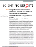 Cover page: Integrated transcriptomic and proteomic analyses of a molecular mechanism of radular teeth biomineralization in Cryptochiton stelleri.