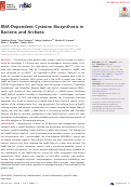 Cover page: RNA-Dependent Cysteine Biosynthesis in Bacteria and Archaea