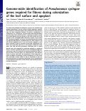 Cover page: Genome-wide identification of Pseudomonas syringae genes required for fitness during colonization of the leaf surface and apoplast.