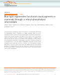 Cover page: Blue light regenerates functional visual pigments in mammals through a retinyl-phospholipid intermediate