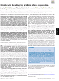 Cover page: Membrane bending by protein phase separation