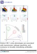 Cover page: Distinct HIV-1 entry phenotypes are associated with transmission, subtype specificity, and resistance to broadly neutralizing antibodies