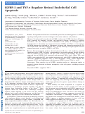 Cover page: IGFBP-3 and TNF-α Regulate Retinal Endothelial Cell ApoptosisIGFBP-3 Regulates Retinal Endothelial Cell Apoptosis