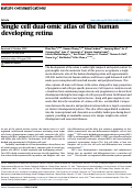 Cover page: Single cell dual-omic atlas of the human developing retina.