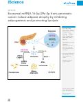 Cover page: Exosomal miRNA 16-5p/29a-3p from pancreatic cancer induce adipose atrophy by inhibiting adipogenesis and promoting lipolysis.