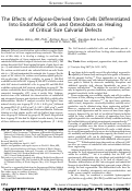 Cover page: The Effects of Adipose-Derived Stem Cells Differentiated Into Endothelial Cells and Osteoblasts on Healing of Critical Size Calvarial Defects