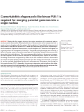 Cover page: Caenorhabditis elegans polo-like kinase PLK-1 is required for merging parental genomes into a single nucleus