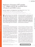 Cover page: Mechanism of transport of IFT particles in C-elegans cilia by the concerted action of kinesin-II and OSM-3 motors