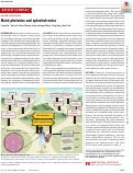 Cover page: Moiré photonics and optoelectronics