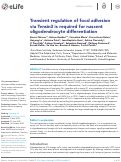 Cover page: Transient regulation of focal adhesion via Tensin3 is required for nascent oligodendrocyte differentiation