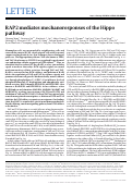 Cover page: RAP2 mediates mechanoresponses of the Hippo pathway